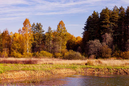 Autumn landscape on a sunny day. Forest and lakeの写真素材