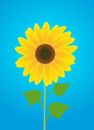 Illustration of sunflower on blue backgroundのイラスト素材