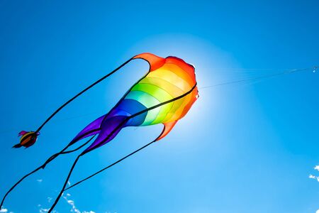 Fish-like kite flying on the blue sky against the sun in the kite festivalの写真素材