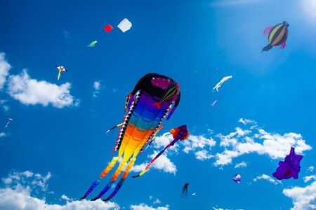 Various kites flying on the blue sky in the kite festivalの写真素材