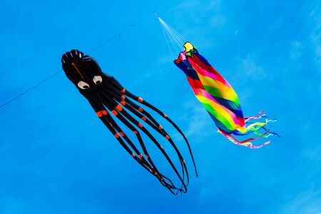 Two Kites flying on the blue sky in the kite festivalの写真素材