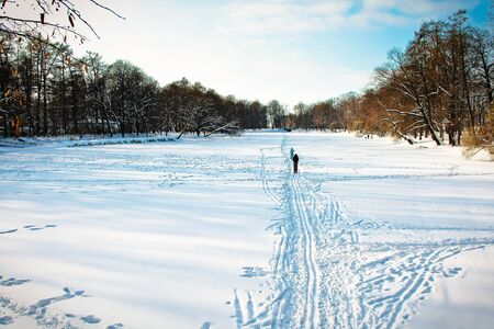 Ski track in snowy park in bright day in winterの写真素材