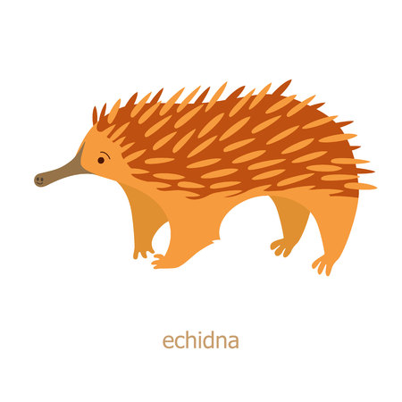Echidna. Cartoon character. Australian endemic. Zoo illustration. The fauna of the Australian continent. Wild animal. Cute echidna. Symbol of country.のイラスト素材