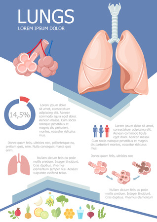Human lung infographic poster with chart, diagram and icon. Healthy food icon useful for lung. Lung medical science infographic with chart, diagram. Vector lung anatomy infographic brochure with chartのイラスト素材