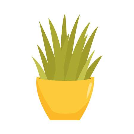 Sansevieriya in pot. Interior home and office potted plant. Houseplant cartoon vector illistration. Interior decoration. Flowerpot drowth and gardening.のイラスト素材