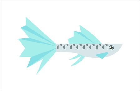 Aquarium fish. Guppy flat illustration. The inhabitants of marine reef aquariums and pondsのイラスト素材