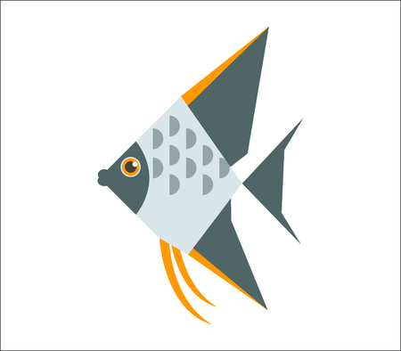 Aquarium fish. Angelfish flat illustration. The inhabitants of marine reef aquariums and pondsのイラスト素材