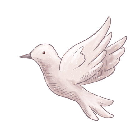 Flying dove isolatedのイラスト素材