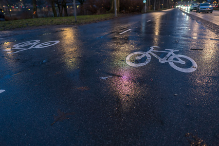 Bike lanes passing by a park during a wet evening day.の写真素材