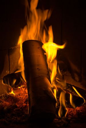 Fireplace with Birch