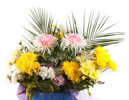 flowers in flowerpot isolated on white の写真素材