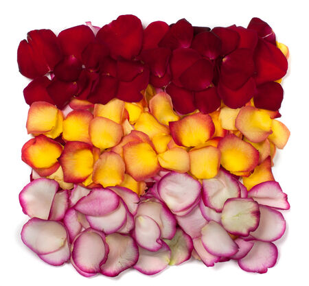 beautiful floral from petals of rosesの写真素材