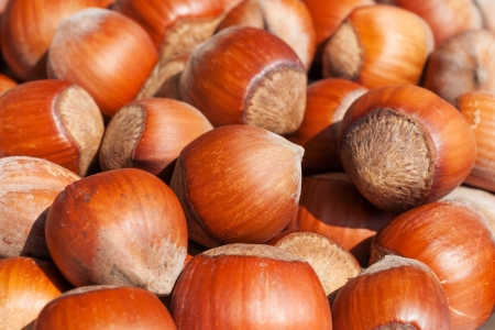 Sprinkle hazelnuts illuminated with the lightの写真素材