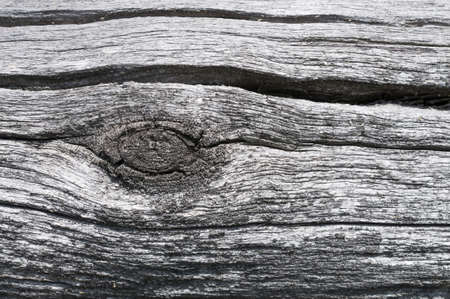 Gray surface with a crack of wooden logs and branchesの写真素材