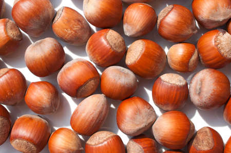 Scattering of hazelnuts on a white background.の写真素材
