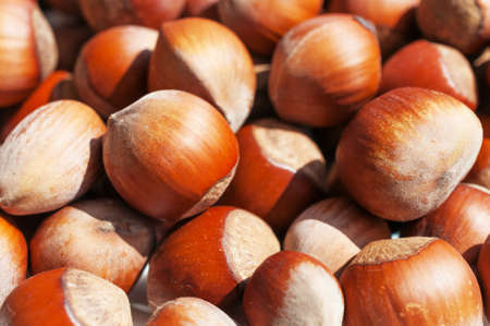 Sprinkle hazelnuts illuminated with the lightの写真素材