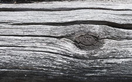The surface of old weathered logs with a knotの写真素材