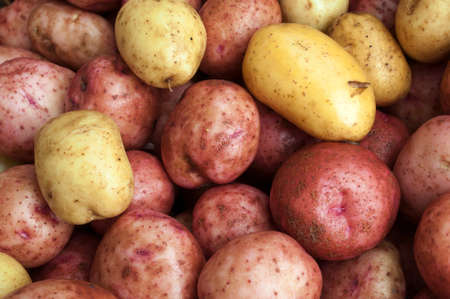 Wet raw potatoes closeupの写真素材