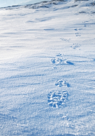 Traces of the shoe on snowpackの写真素材