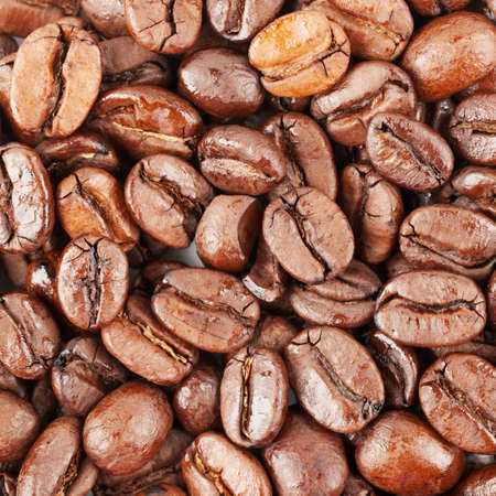 Brown coffee beans, close-up of coffee beans for background and textureの写真素材