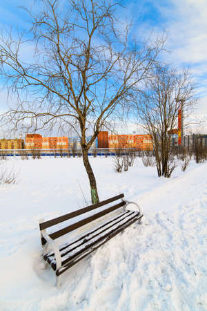 An empty bench in the snow-covered city park  Winter の写真素材