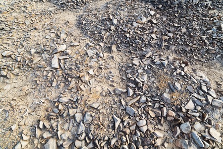 The earth s surface with rocks and remnants of branches 