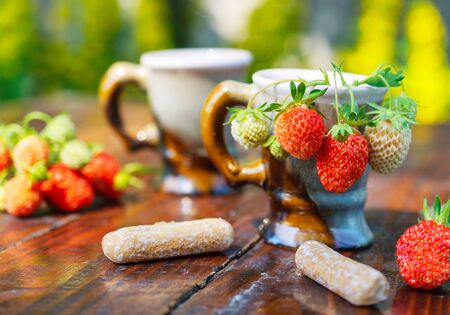 Ripe berries of white and red strawberries in a porcelain coffee cups. Sunny morning, summer day.の写真素材