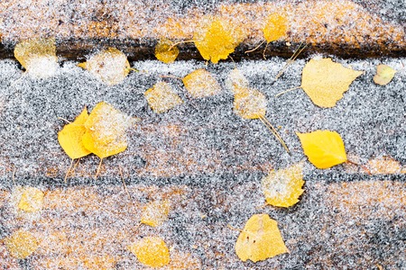 Yellow fallen leaves on the wooden table, covered with fine snow. Abstract background.の写真素材