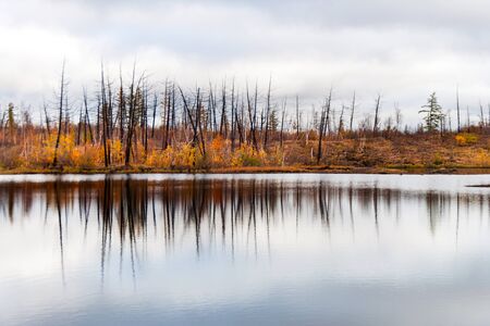 Lake in tundra in the Taimyr Peninsula, the Arctic Circle, Norilsk city. Deep autumn, cloudy day....