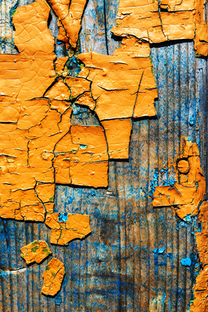 Large fragments of old peeling paint color ocher, on an old wooden weathered surface.の写真素材