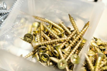 Many screws arranged as background. Metal fasteners, scattered in plastic cells.の写真素材