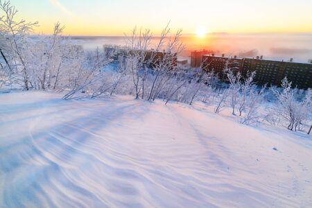 Winter dawn and the frosty fog.の写真素材