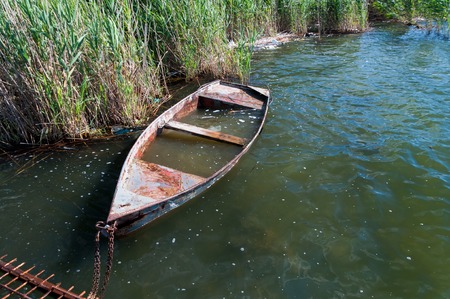 Old flooded boat in the reeds.の写真素材