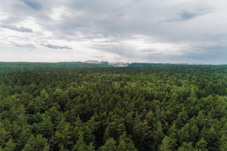 Aerial view of wheat fields, meadow, forest and village in rural Russia.の写真素材