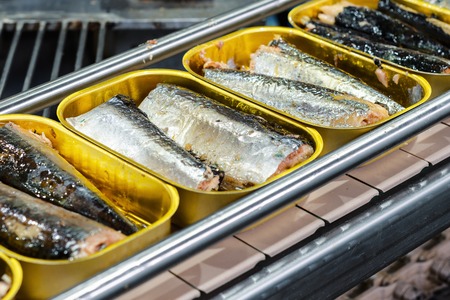 Tin cans with fish on the conveyor.の写真素材