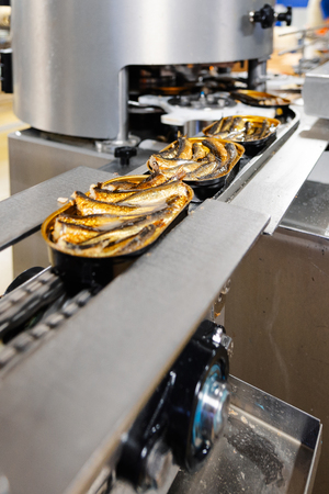 Tin cans with fish on the conveyor.の写真素材