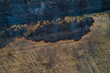 Forest fire. Dry grass burning in the field, near the river.の写真素材