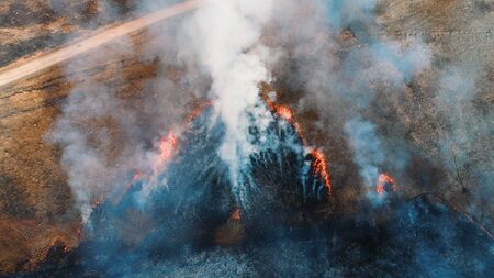 Forest and field fire. Dry grass burns, natural disaster. Aerial view. After the fire, the ground is covered with a black layer of burning and ash. View vertically downの写真素材
