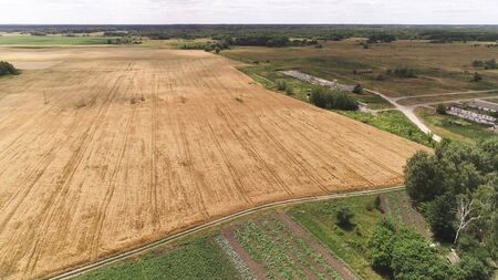 Agricultural fields, countryside. A shot from above. Summer sunset.