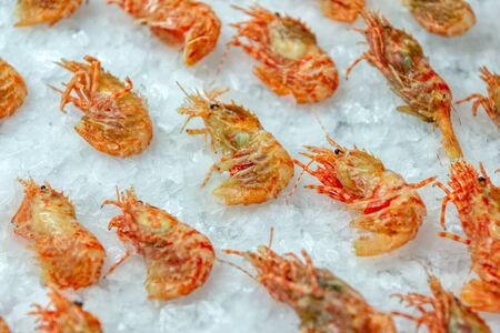 Boiled sea prawns lie on ice. Shrimps are beautifully laidの写真素材