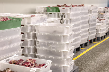 Fresh beef. Meat cut into large pieces