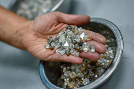 A handful of untreated rough diamonds lie in the palm of your hand. Many small gems