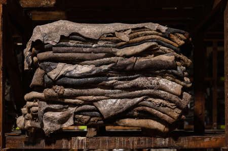 Raw salted cow skins are piled up.