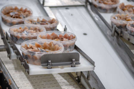 Herring preserves in plastic cans on a conveyorの写真素材