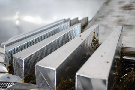 Automatic weighing machine. Weighing and dosage of seafoodの写真素材