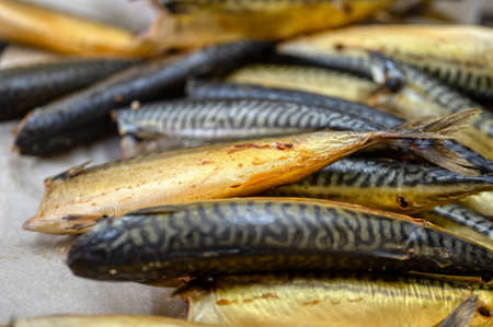 Lots of smoked mackerel carcasses. The fish is in a bunch.の写真素材