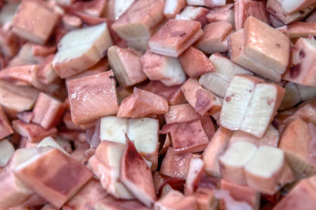 Pieces of sea cuttlefish squid cut into cubes. Ready-made ingredients for sea saladの写真素材