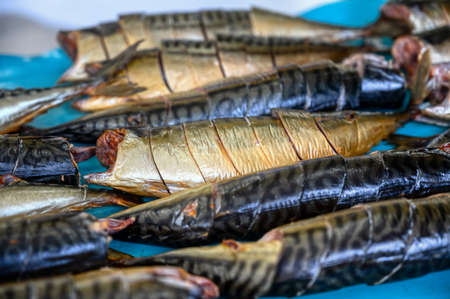 Pieces of smoked mackerel lie on a conveyor belt. Fish food factory.