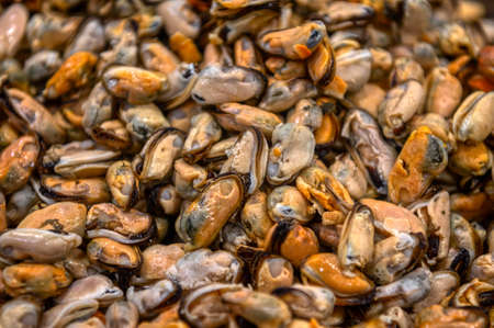 Lots of peeled mussels. Abstract backgroundの写真素材
