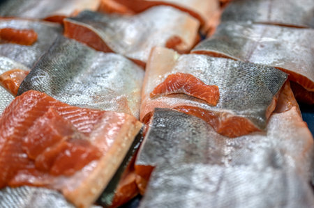 Many pieces of salmon and trout fillet, close-up photo.の写真素材